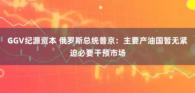 GGV纪源资本 俄罗斯总统普京：主要产油国暂无紧迫必要干预市场