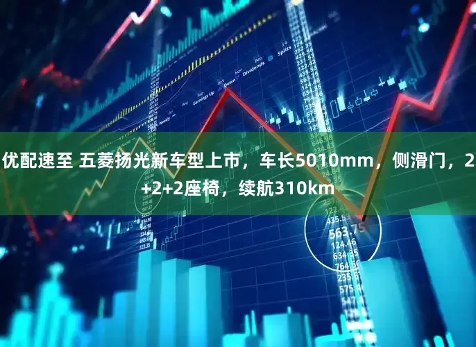 优配速至 五菱扬光新车型上市，车长5010mm，侧滑门，2+2+2座椅，续航310km